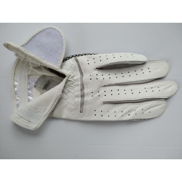 golf glove , golf gloves , glove , gloves