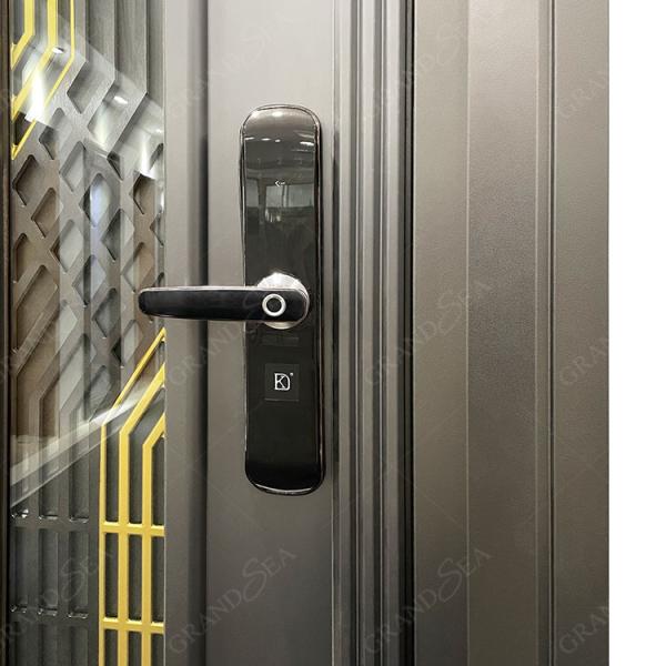 France Style  Advanced Stainless Steel Door Good Quality Superior a Class Locksystem Israel Security Door