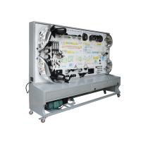 Whole Automotive Electrical Training Board Equipment  50Hz Power Supply