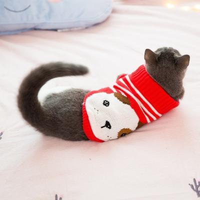 Customized Pattern Cat Wearing Sweater , Designer Cat Clothes Size XS - XXL