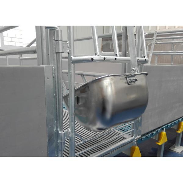 Stainless Steel Sliver Pig Self Feeder Large Capacity Non Surface Treatment