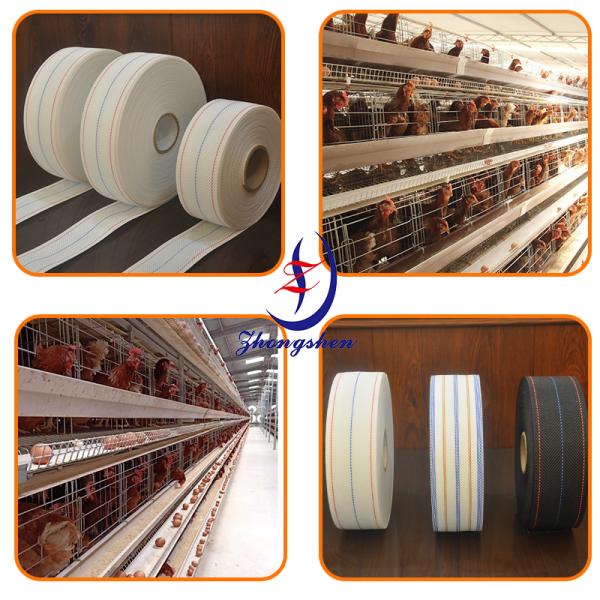 Zhongshen Temperature-Adaptive Egg Conveyor Belt with Breakage Reduction and Gentle Egg Transfer for Poultry Layer Cages