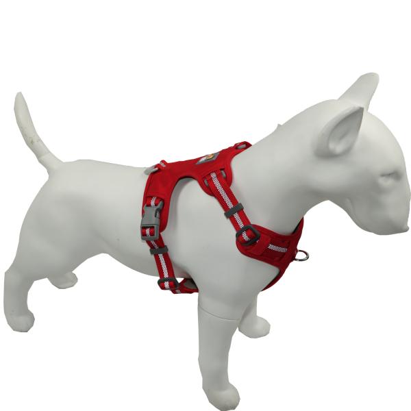 X проводка собаки большой проводки собаки Xl Xs водоустойчивой яркая старшая с держателем сумки кормы