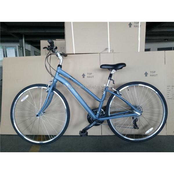 Customize Aluminum Frame 21S Women's Urban Bike Fitness Bikes Hybrid Bicycle for Adult