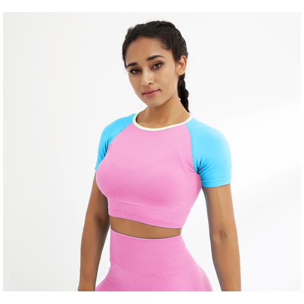 Oem Factory Manufacturer Custom Logo Short Sleeve OEM T Shirts Fast Dry Womens Yoga T Shirts