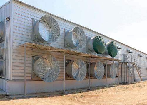 Painted Chicken Steel Structure Poultry House ASTM DIN GB JIS Standard