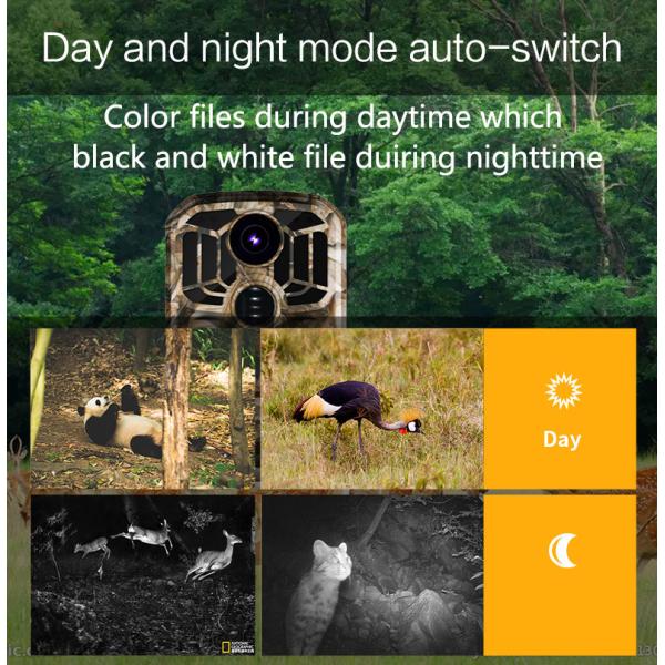 Outdoor Wirless Thermal Security Night Vision Hunting Camera 24MP 4k Wifi Trail Camera