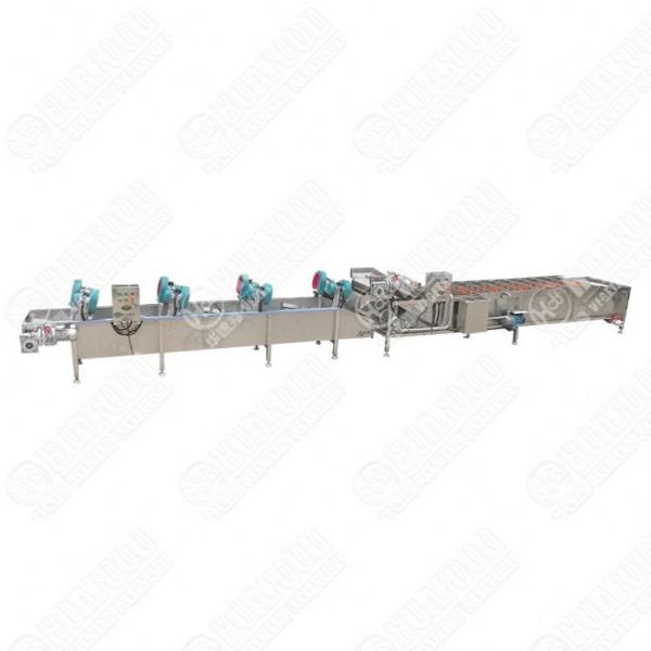 Farm Dragon Fruits Washing Drying Machine Dragon Fruits Washing Machine Dragon Fruits Washing Drying Line