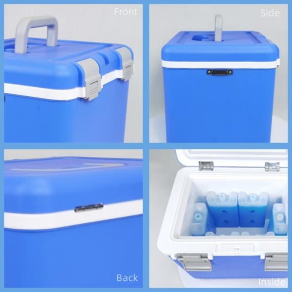 Portable  Lightweight Medical Cooler Box with 24 Hours Ice Retention and Hinged Lid with Temperature Display OEM & ODM Support