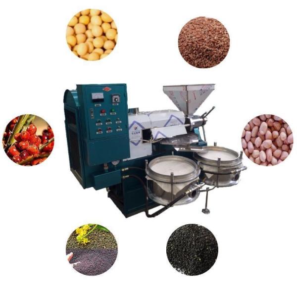 60-150kg/H Spiral Sesame Oil Press Machine Mustard Oil Making Machine 1600*1300*1750 mm
