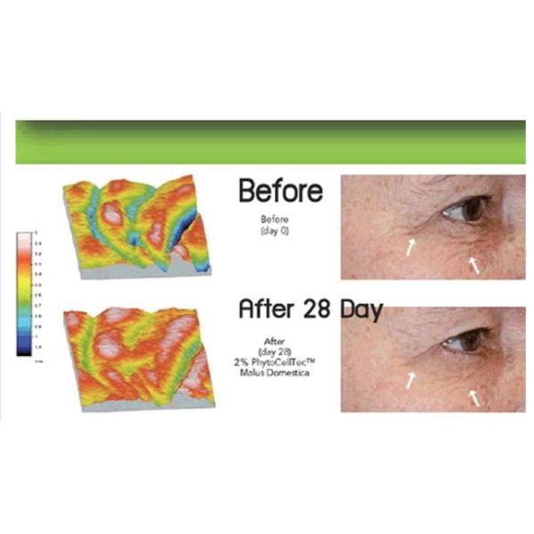 Private Label Anti Wrinkle 10ml Organic Face Serum