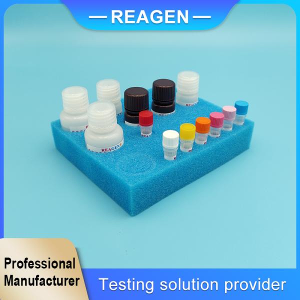 Streptomycin ELISA Test Kit for Tissue, Aquatic, Honey, Milk 0.1 PPB
