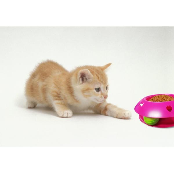 Hot Selling Pet Food Container Slow Feeding Bowl Iq Treat Dog Toy Fun Feeder Interactive Dog cat Bowl