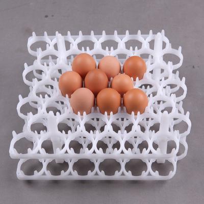 36 30 ovos cultivam a bandeja plástica do ovo da camada