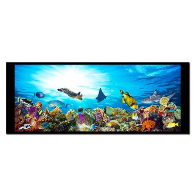 6.86 Inch 480x1280 Bar Type Round TFT LCD Sunlight Readable NV3051F1
