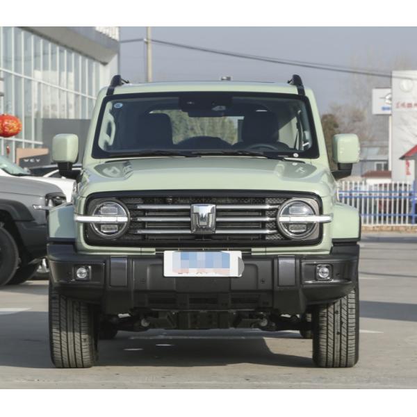2023 Tank300 2.0T City Model Must Version Compact SUV 5