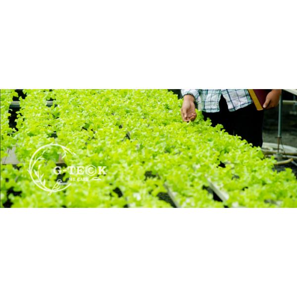 Light Yellow 10% Magnesium Chelated Amino Acids Nitrogen 10% Agriculture Fertilizer