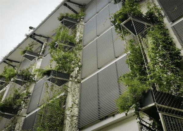 Zoo Enclosures Aviary Stainless Steel Rope Mesh Durable High Strength