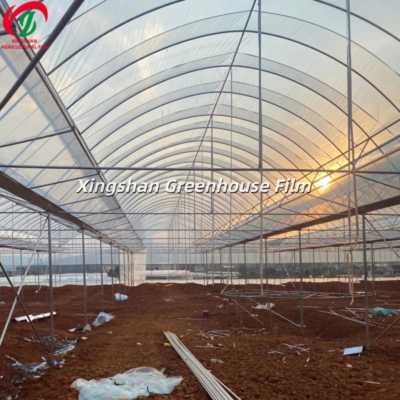 China PO Greenhouse Film Plastic Film Factory 5-Layer Co-Extruded Film