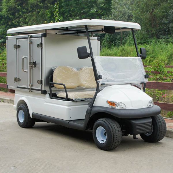 EXCAR 2 Seats Hotel Buggy Car With Container
