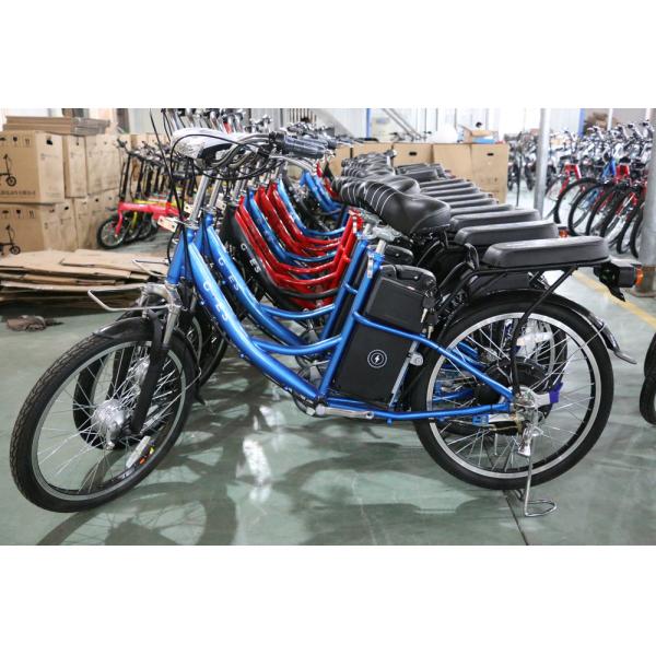25km/H Pedal Assist Electric Bicycle 36V 250W For Adult And Child