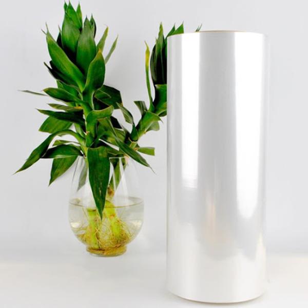Polylactic Acid Sheet Biodegradable Clear PLA Sheet Roll