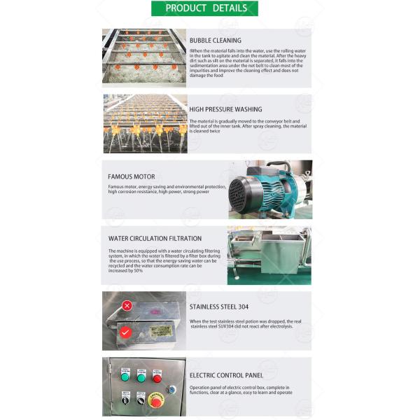 Automatic Ultrasonic Fruit Vegetable Washing Machine And Blanching Machine