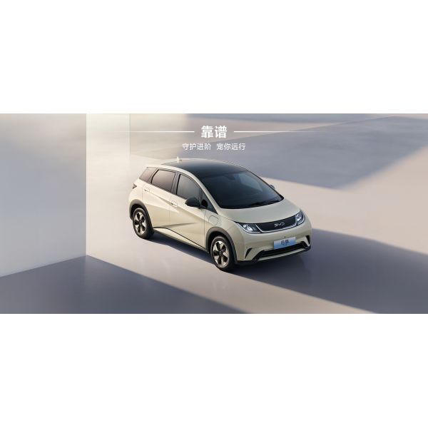BYD 2025 Dolphin 520km Knight Edition EV