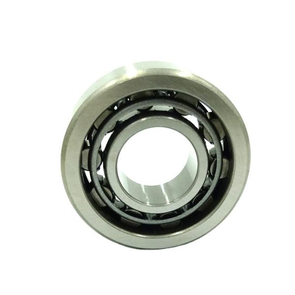 Chrome Steel Excavator Swing Bearing Cylindrical Rollers Slewing Ring NUP2310