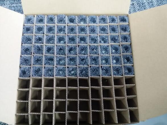 Grey Nylon Filament Nylon Abrasive Cup Brush With Shank Applied Polish the Wood