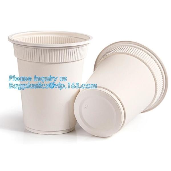 Коробка бенто пластикового устранимого пластикового взятия качества еды отсутствующая с 4 отсек, пищевой контейнер контейнеров пластиковый течебезопасный