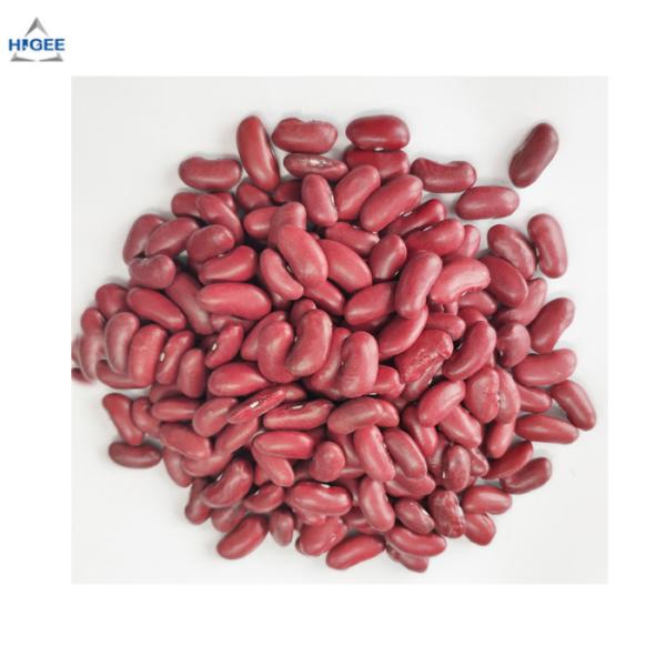 400CPH Canned red kidney beans filling and sealing machine soya bean canning machine