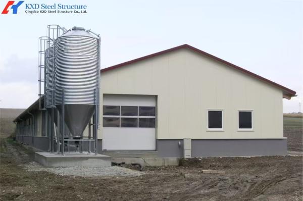 Steel Structure Poultry House with Automated Feeding and Ventilation Systems