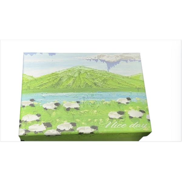 Красивый шаблон Flip Top подарочная коробка на заказ жесткий картон Элегантный дизайн