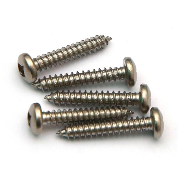 Square Socket Recess Pan Head A2 Grade 304 SUS Self Tapping Screw Stainless Steel 18-8 Inox