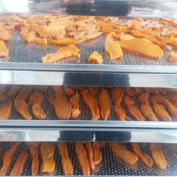 Máquina de secado de polvo de metal robusta y de larga duración para procesamiento de plantas metalúrgicas