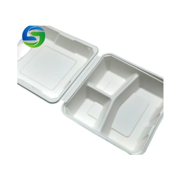 Compostable 9 Inch×9 Inch Sugarcane Bio Food Packaging