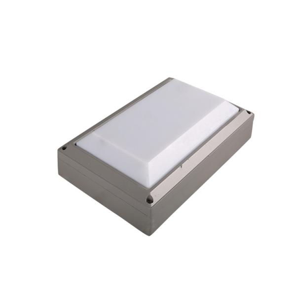 Flush mount led ceiling light waterproof  20W  Lights For Outdoor IK10 IP65 LED Wall lamp