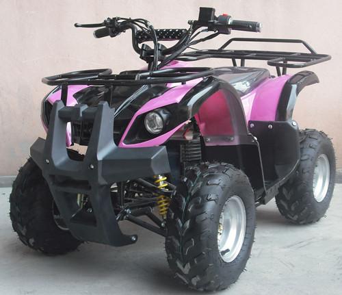 electric ATV 500w,800w,1000w. 36v(48V), 17A.Popular model,good quality