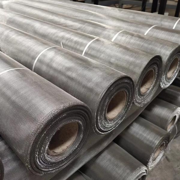 Powder Coated 316L Stainless Steel Bug Screen Mesh 8mesh-12mesh
