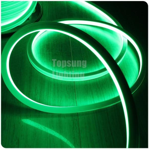 220v vert 100 leds/m carré LED néon flex lumière pour la décoration d'activité