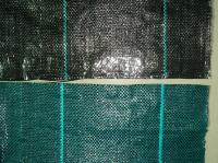 Tapis de tissu/de mauvaise herbe de couverture végétale tissé par pp de PE de jardin, noir