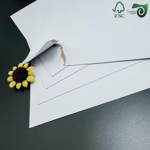 Multihued Laminated Rigid Cardboard Sheets For Packaging Applications Coated Duplex Board  CCNB  CCWB