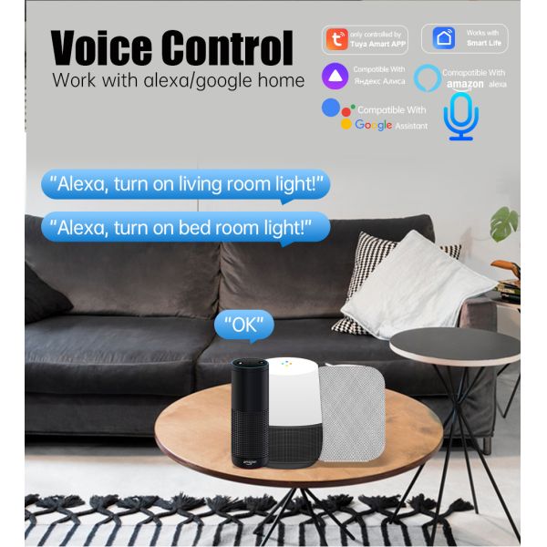 WiFi Touch Switch Socket Smart Home Panel with No Neutral Wire 16A High Power and Dual USB Ports