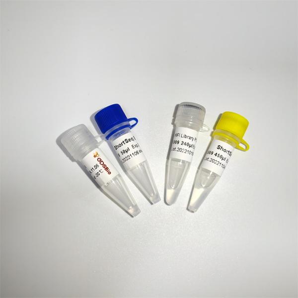 K009-A K009-B NGS Library Construction For Fast DNA Illumina ShortSeq Library Prep Kit