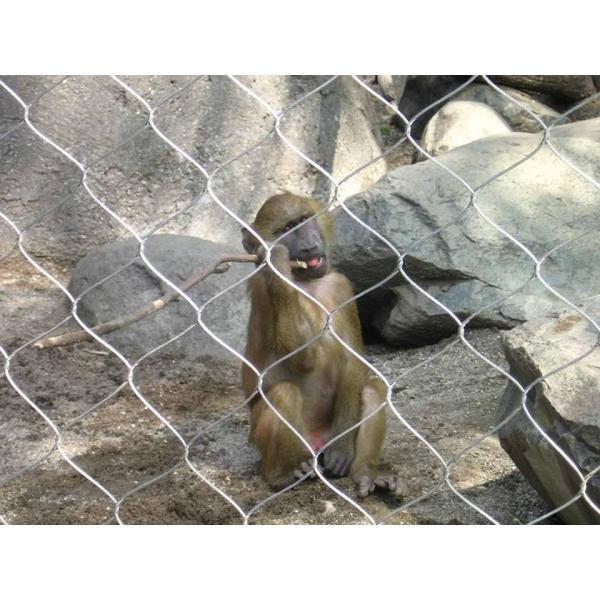 1m-2m red de alambre rombo tejido a mano de acero inoxidable flexible de alambre de cuerda