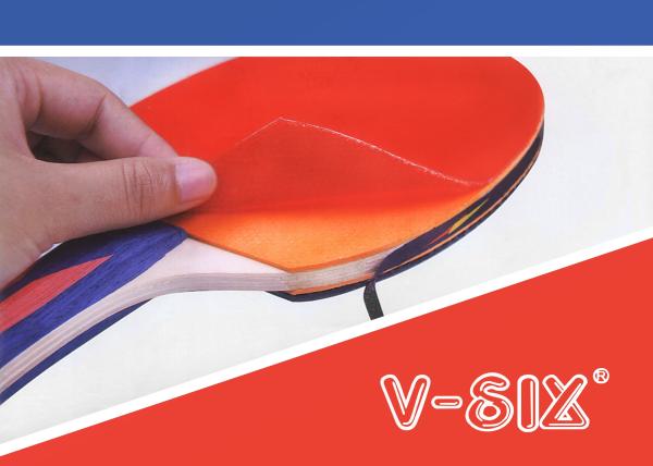 Bolha ajustada do tênis de mesa portátil que embala dois bastões/três bolas para o competiam