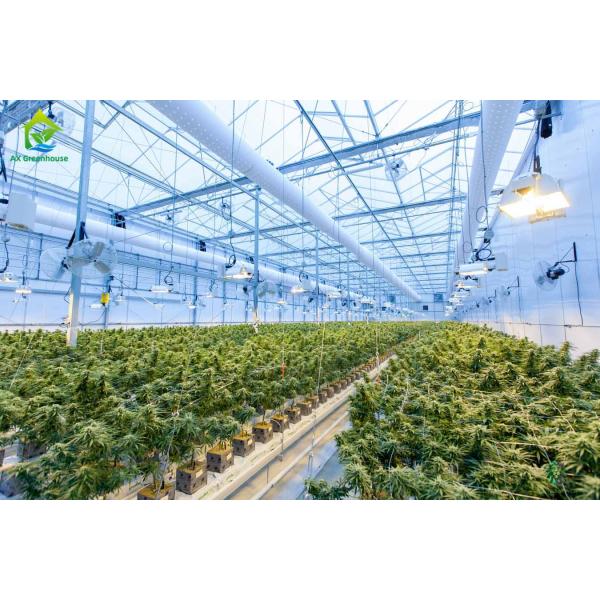 Polycarbonate Sheet Cover Light Deprivation Greenhouse For Commercial Growing Hemp