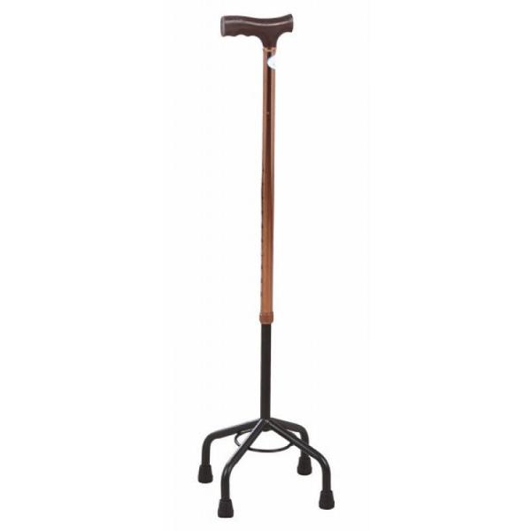 Cane