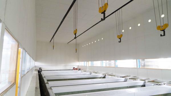 Circle Type Professional Hot Dip Galvanizing Equipment For Galvanizing Steel Parts